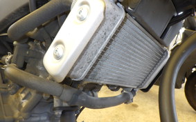 YAMAHA XSR155