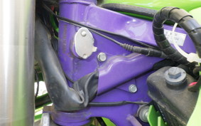 KAWASAKI KLX250 SR LX250E