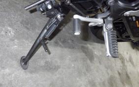 KAWASAKI Z900RS 2025 ZR900K