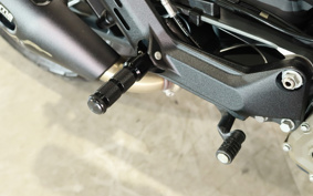 OTHER Svartpilen401 2019