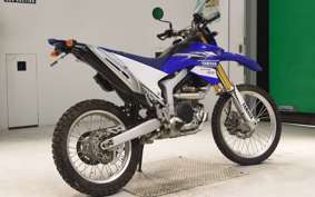 YAMAHA WR250R 2019 DG15J