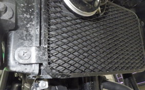 SUZUKI Vｽﾄﾛｰﾑ250 2024