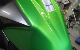 KAWASAKI VERSYS 250 A 2025 LE250D
