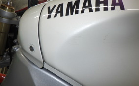 YAMAHA XSR900 GP 2024 RN96J