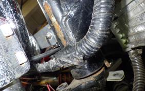 HONDA MONKEY 1998 Z50J