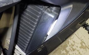 TRIUMPH DAYTONA 675 2015