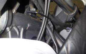 KAWASAKI NINJA 250 EX250L