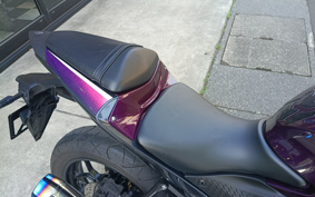 YAMAHA YZF-R25 RG74J