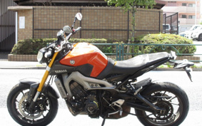YAMAHA MT-09 2014 RN34J