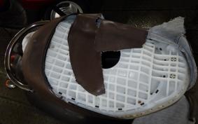 HONDA CREA SCOOPY 2013 AF55