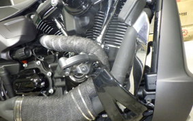 HARLEY FXDRS1870 2019