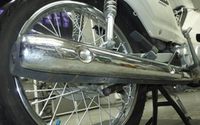 HONDA C110 SUPER CUB 2025 JA10
