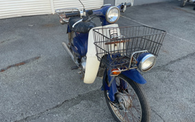 HONDA SUPER CUB50 C50