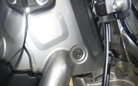 HARLEY FLSTFI1920 2025