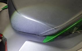 KAWASAKI NINJA H2 SX 2023