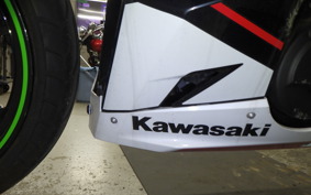 KAWASAKI NINJA 250 2 2020 EX250P