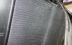 TRIUMPH TRIDENT 660 2021