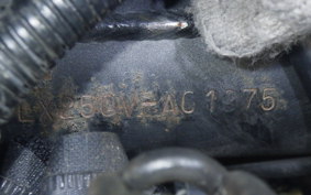 KAWASAKI KLX250D TRACKER X 2017 LX250V