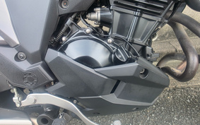 KAWASAKI VERSYS-X 250 ABS LE250D