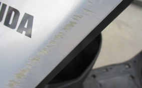 YAMAHA AKUSHI STREET SE53J