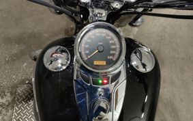 HARLEY FLSTC 1580 2008 BW5