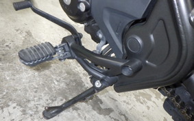 HONDA REBEL 250 2007 MC49