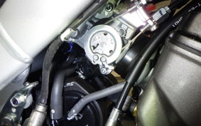 HONDA CRF250L 2025 MD47