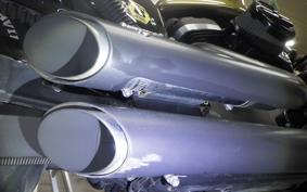 HARLEY XL883N 2015