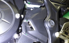 YAMAHA YZF-R25 2024 RG10J