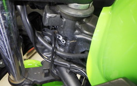KAWASAKI NINJA 250 EX250L