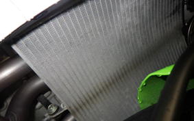 KAWASAKI NINJA ZX-6R A 2025 ZX636J