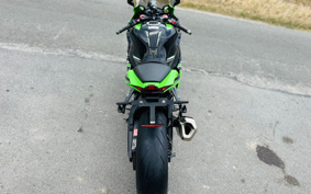 KAWASAKI NINJA 1000 2017 ZXT00S