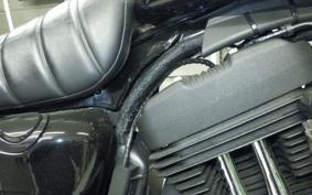 HARLEY XL1200NS 2018