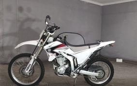 YAMAHA WR250R DG15J