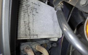 YAMAHA YZF-R25 RG43J