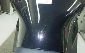 KAWASAKI NINJA1100SX 2025 ZXT10H