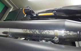 HARLEY FXBB1750 2019