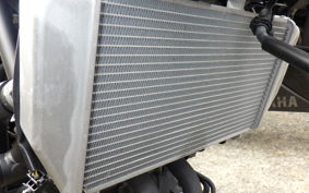 YAMAHA YZF-R25 A RG95J