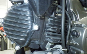 KAWASAKI Z125 PRO 2023 BR125H