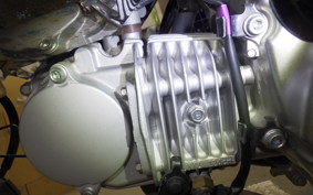 HONDA MONKEY 125 2024 JB02