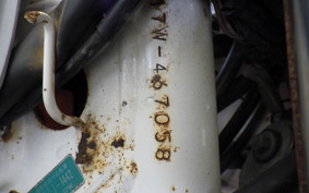 YAMAHA DT50 17W