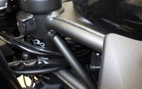 KAWASAKI ZX-4R SE 2025 ZX400P