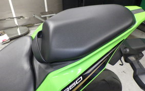 KAWASAKI ZX-25R 2008 ZX250E