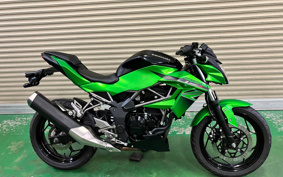 KAWASAKI Z250 SL BR250E