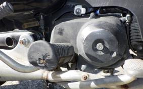 HONDA LITTLE CUB E AA01