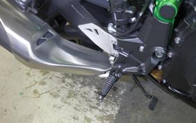 KAWASAKI ZH2 2020 ZRT00K