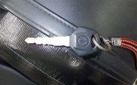 YAMAHA MT-25 2021 RG10J