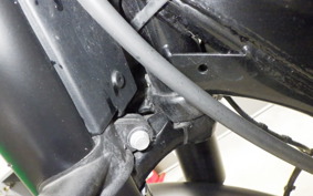OTHER ENFIELD BULLET 350 2024