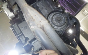 HONDA HORNET 250 2001 MC31