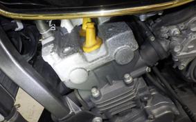 HONDA HORNET 250 2010 MC31